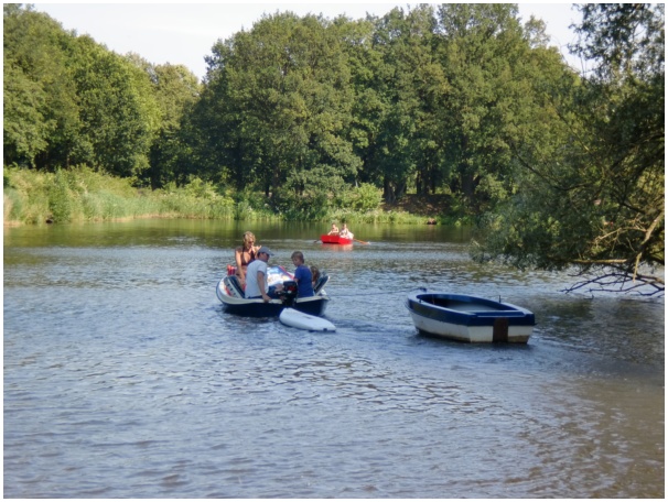 584x433 pixels (142K)