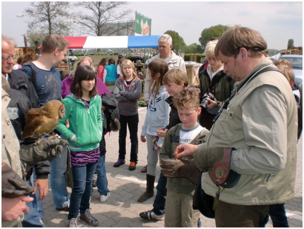 584x433 pixels (126K)