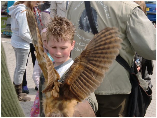 584x433 pixels (112K)