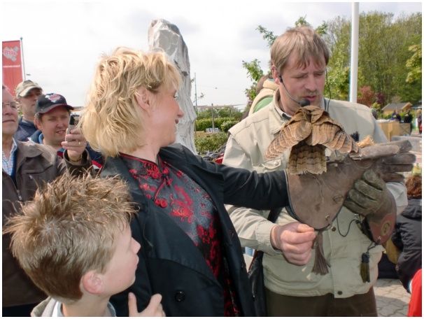 584x433 pixels (112K)