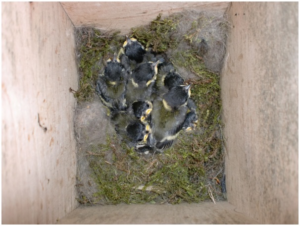 584x433 pixels (111K)