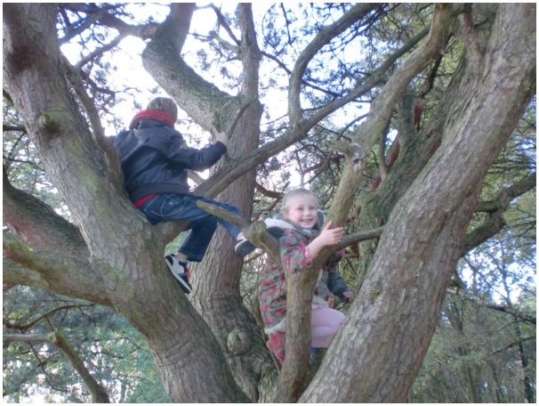 584x433 pixels (150K)