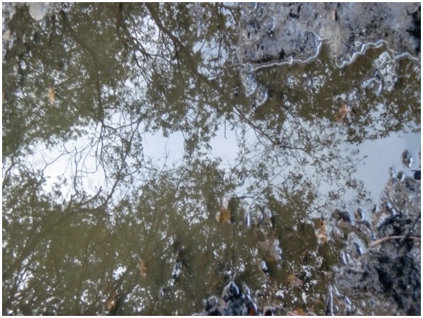 584x433 pixels (149K)