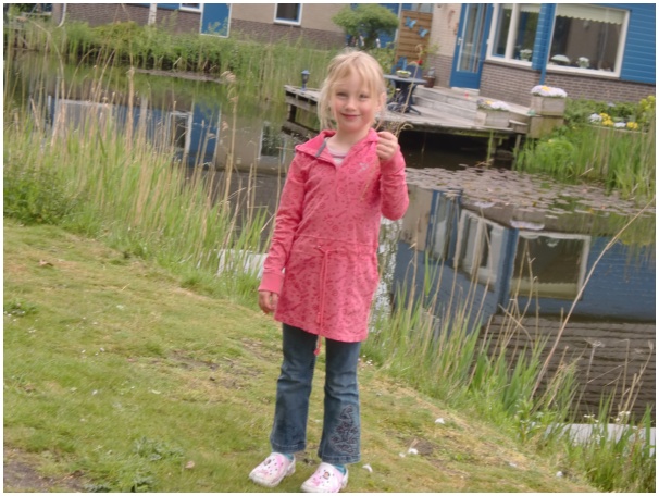 584x433 pixels (127K)