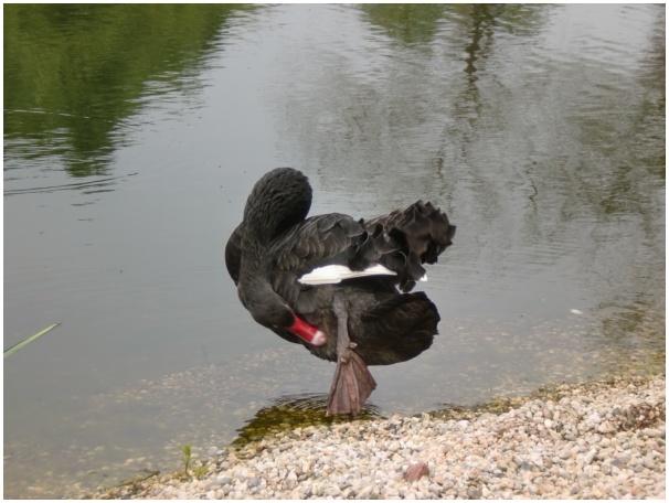 584x433 pixels (97K)