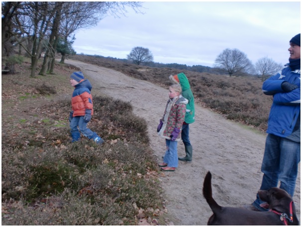 584x433 pixels (123K)