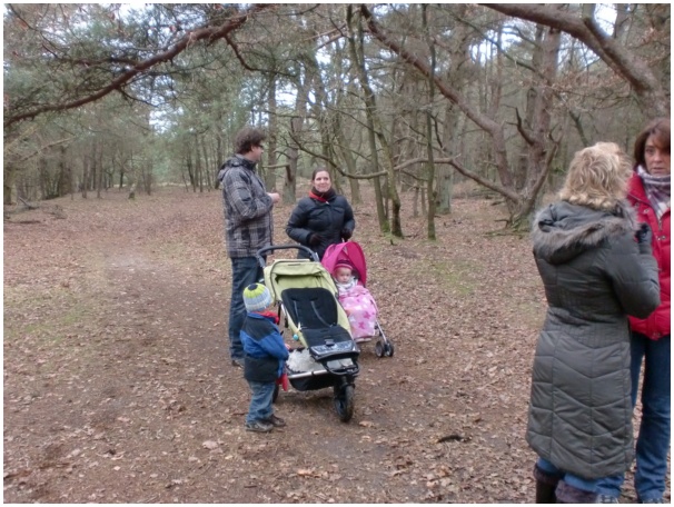 584x433 pixels (147K)