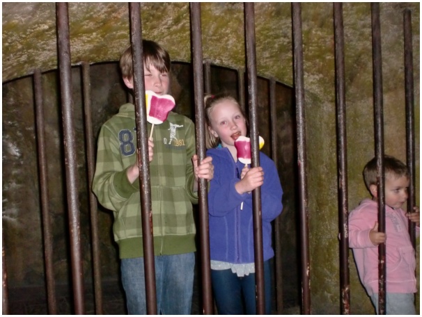 584x433 pixels (109K)