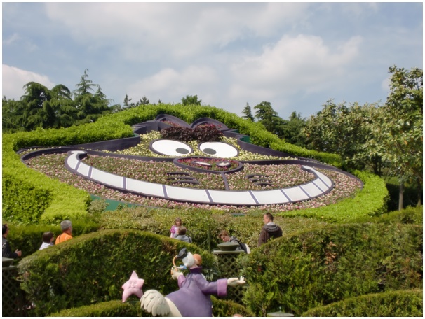 584x433 pixels (135K)