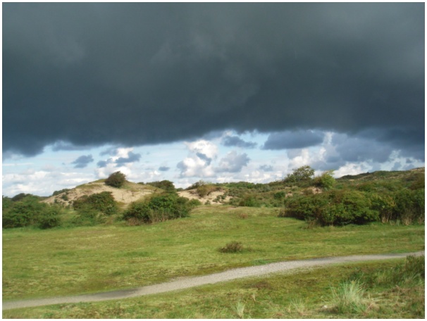 584x433 pixels (84K)