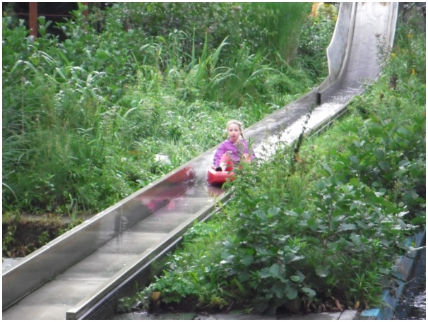 584x433 pixels (138K)