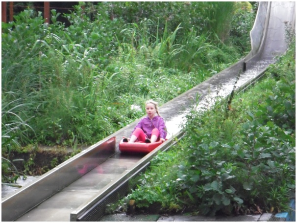 584x433 pixels (139K)