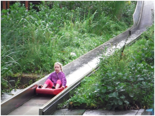 584x433 pixels (138K)