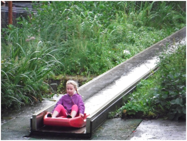 584x433 pixels (134K)