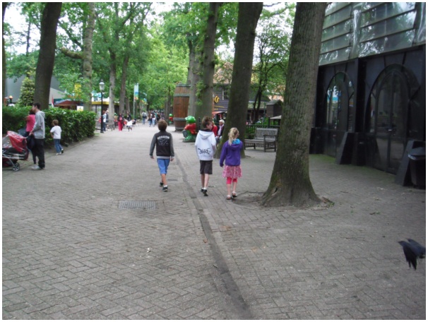 584x433 pixels (125K)