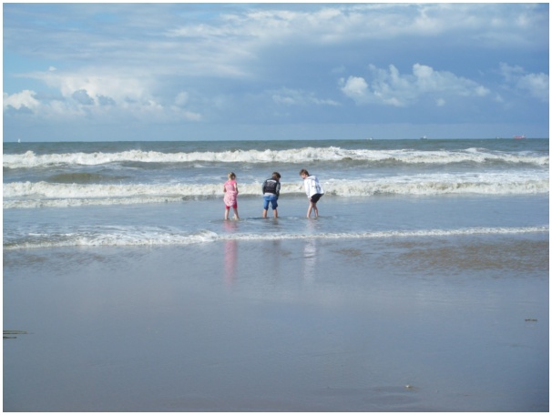 584x433 pixels (68K)