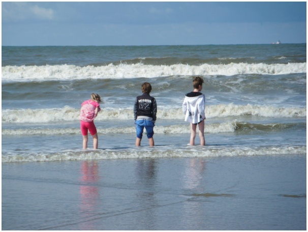 584x433 pixels (87K)