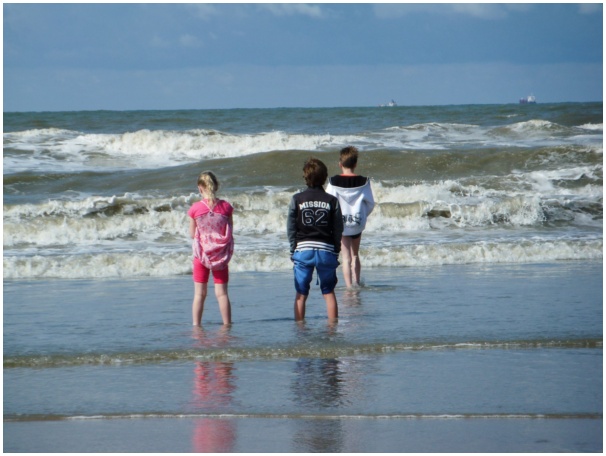 584x433 pixels (91K)