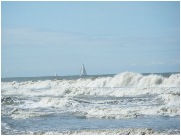 584x433 pixels (69K)