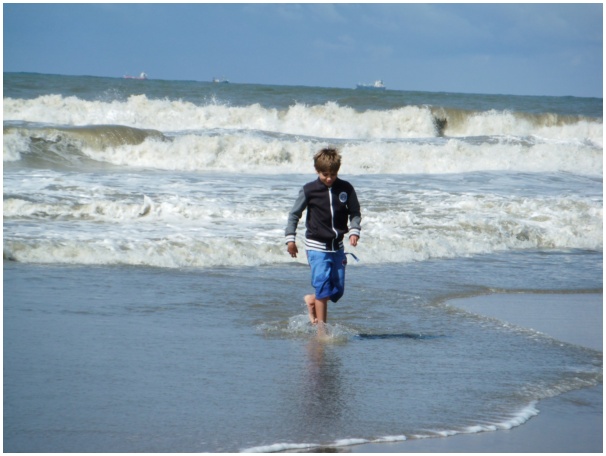 584x433 pixels (86K)