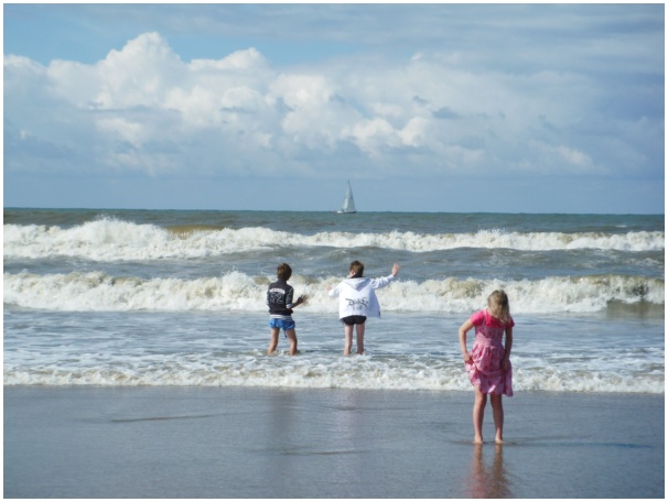 584x433 pixels (81K)