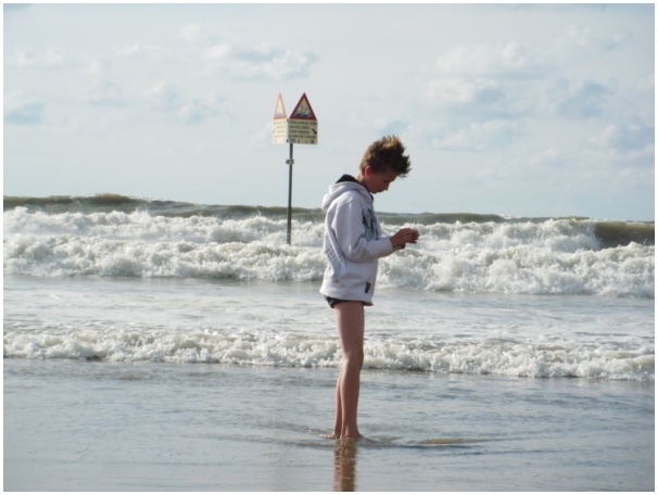 584x433 pixels (80K)