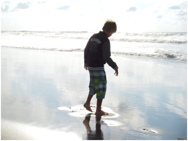 584x433 pixels (61K)