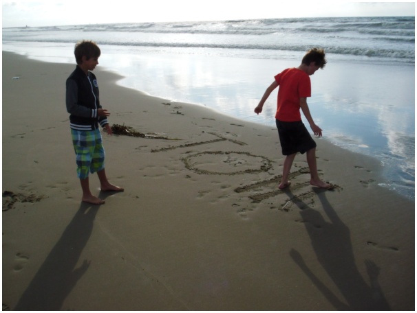 584x433 pixels (70K)