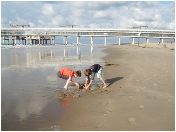 584x433 pixels (78K)