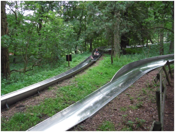 584x433 pixels (156K)