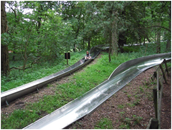 584x433 pixels (156K)