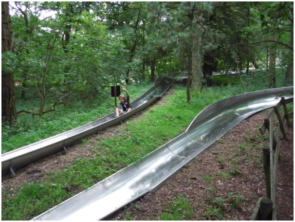 584x433 pixels (155K)