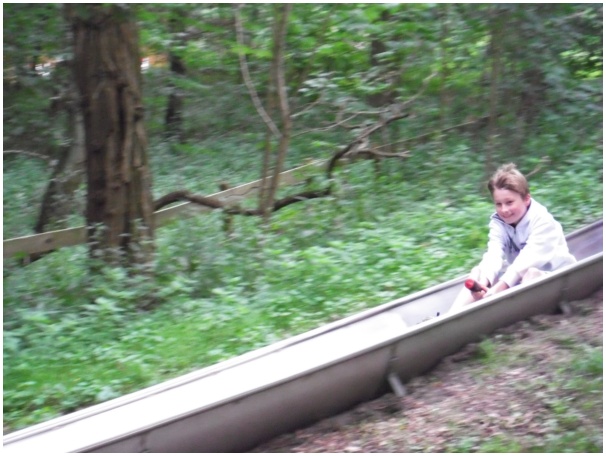 584x433 pixels (109K)