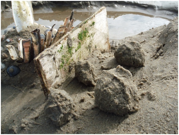 584x433 pixels (142K)