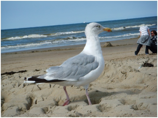 584x433 pixels (89K)