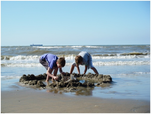 584x433 pixels (80K)