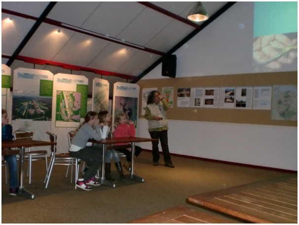 584x433 pixels (84K)