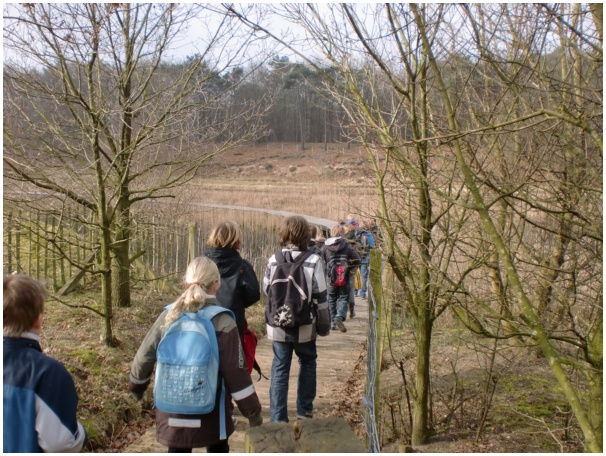 584x433 pixels (166K)