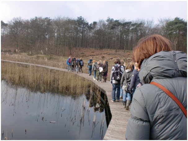 584x433 pixels (103K)