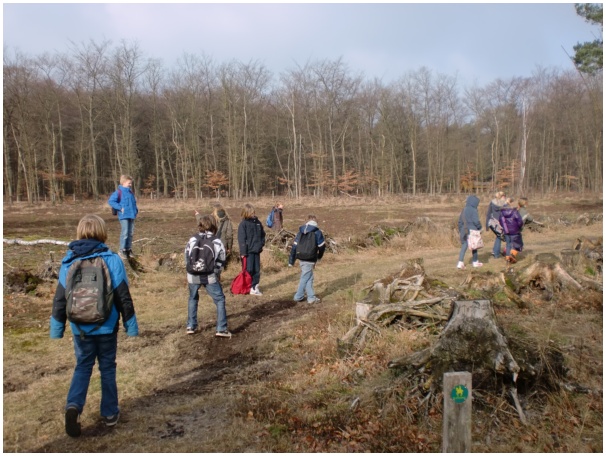 584x433 pixels (135K)