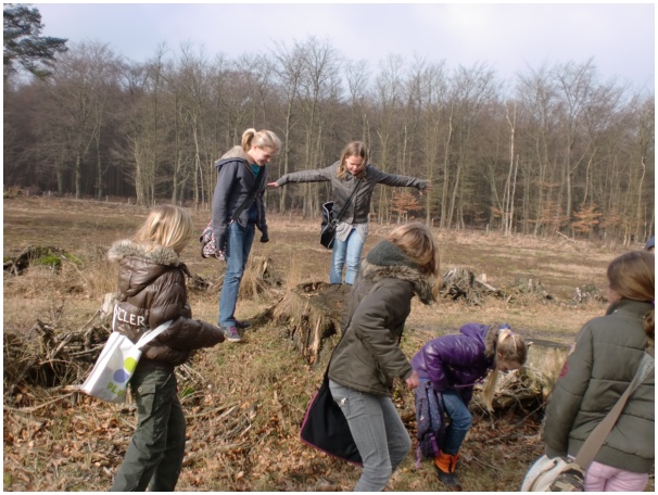 584x433 pixels (133K)