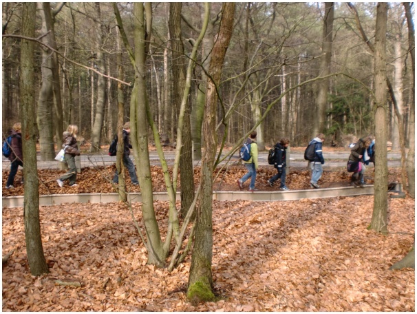 584x433 pixels (166K)