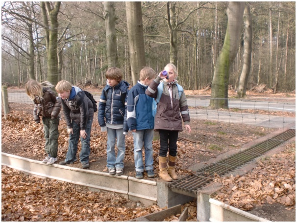 584x433 pixels (159K)