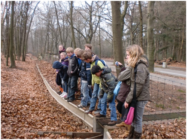 584x433 pixels (167K)