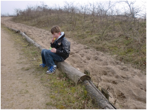 584x433 pixels (132K)