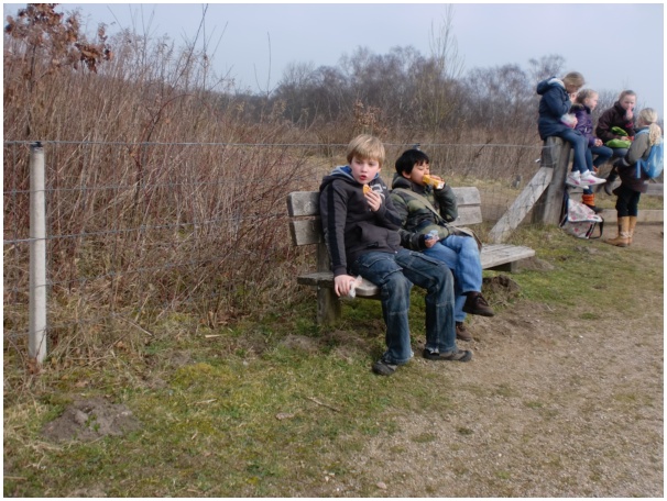 584x433 pixels (140K)