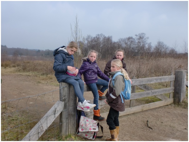 584x433 pixels (96K)