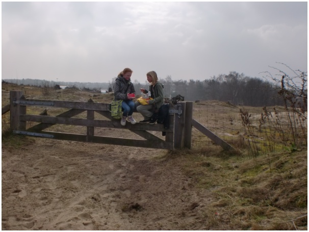 584x433 pixels (90K)