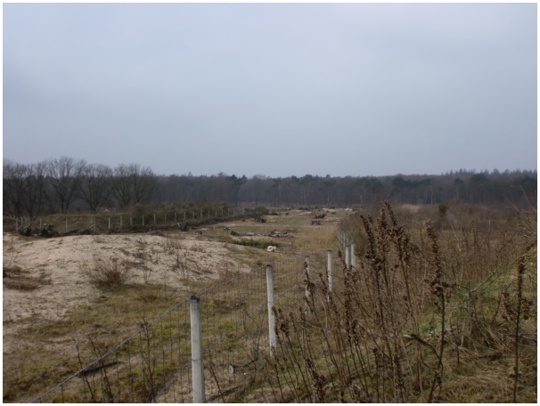 584x433 pixels (88K)