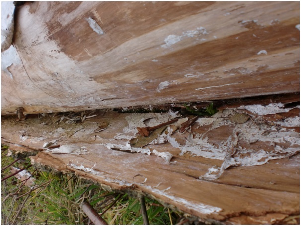 584x433 pixels (124K)